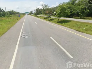 For sale land in Phunphin, Surat Thani