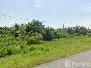 For sale land in Phunphin, Surat Thani