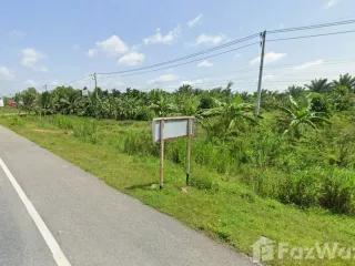 For sale land in Phunphin, Surat Thani