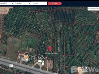 For sale land in Phunphin, Surat Thani
