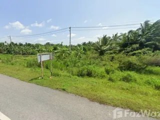 For sale land in Phunphin, Surat Thani