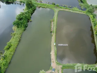 For sale land in Nakhon Chai Si, Nakhon Pathom