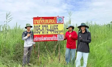 For sale land in Lam Luk Ka, Pathum Thani