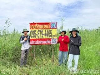For sale land in Lam Luk Ka, Pathum Thani