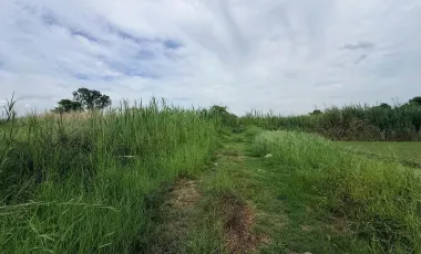 For sale land in Lam Luk Ka, Pathum Thani