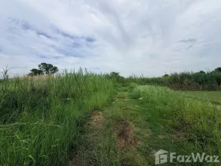 For sale land in Lam Luk Ka, Pathum Thani