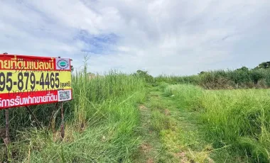 For sale land in Lam Luk Ka, Pathum Thani