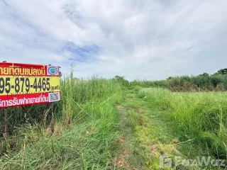 For sale land in Lam Luk Ka, Pathum Thani