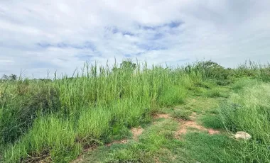 For sale land in Lam Luk Ka, Pathum Thani