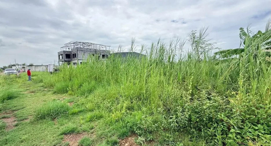 For sale land in Lam Luk Ka, Pathum Thani