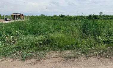 For sale land in Nong Suea, Pathum Thani