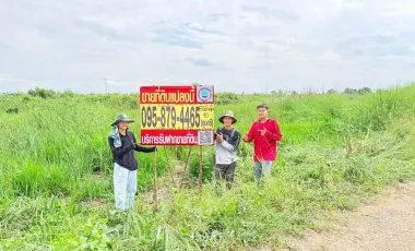 For sale land in Nong Suea, Pathum Thani