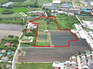 For sale land in Krathum Baen, Samut Sakhon