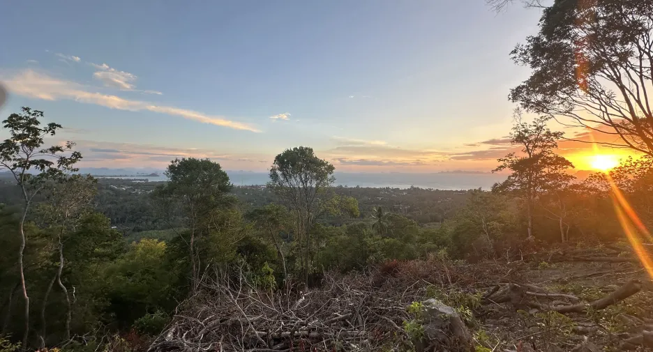 For sale land 
