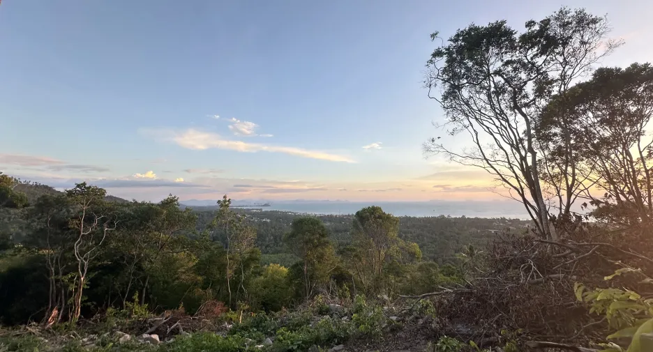 For sale land 