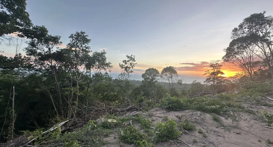 For sale land 