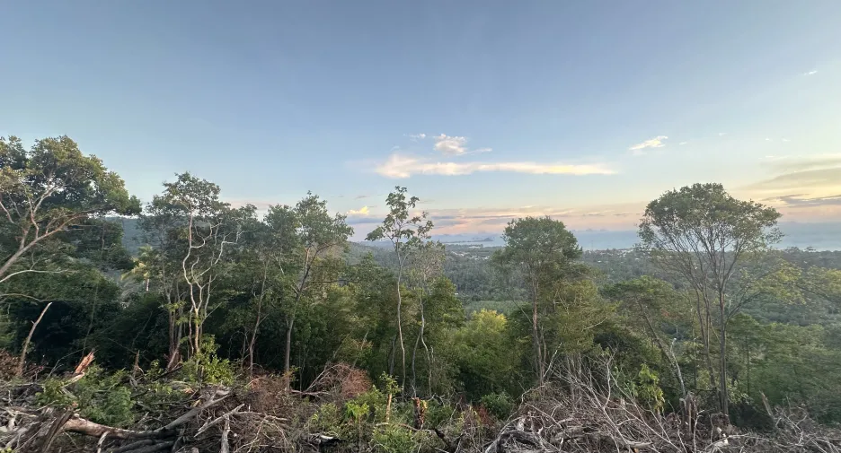 For sale land 