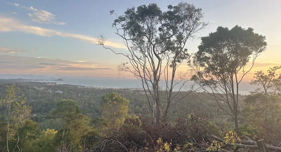 For sale land 