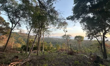 For sale land 