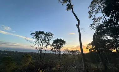 For sale land 