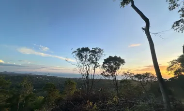For sale land 