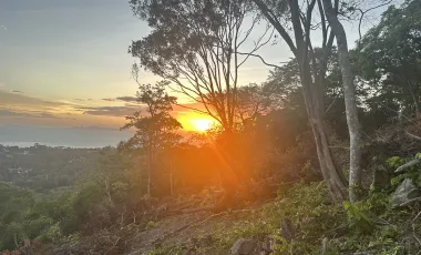 For sale land 