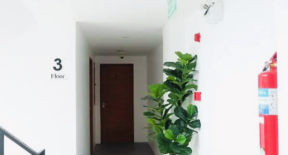 For sale 14 bedrooms hotel in Kathu, Phuket