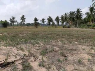 À vendre terrain à Bang Lamung, Chonburi