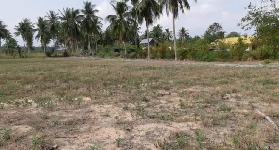 For sale land in Bang Lamung, Chonburi