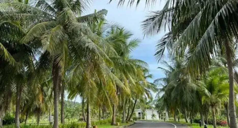ขาย 3 ห้องนอน คอนโด ใน บางเสร่, พัทยา