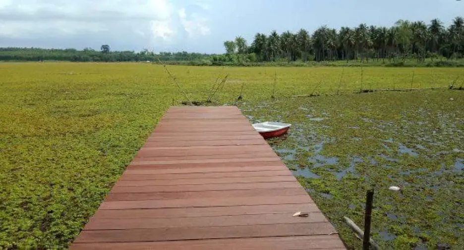 ขาย 4 ห้องนอน บ้านเดี่ยว ใน บางละมุง, ชลบุรี