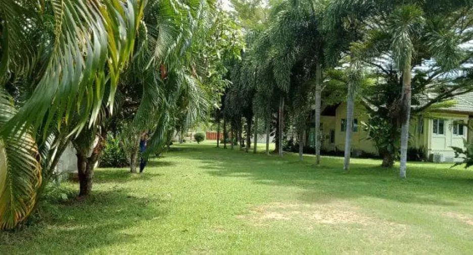 ขาย 4 ห้องนอน บ้านเดี่ยว ใน บางละมุง, ชลบุรี