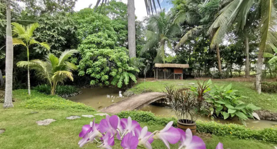 ขาย 4 ห้องนอน บ้านเดี่ยว ใน บางละมุง, ชลบุรี