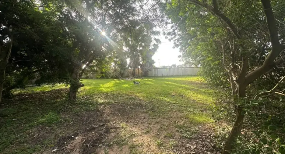 For sale land in Bang Lamung, Chonburi