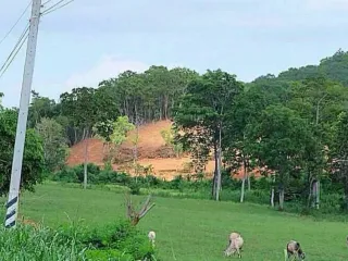 À vendre terrain à Bang Lamung, Chonburi