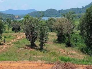 À vendre terrain à Bang Lamung, Chonburi
