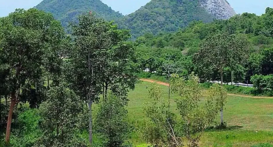 For sale land in Bang Lamung, Chonburi