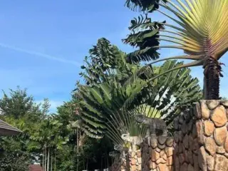 出售 3 卧室 独立屋 在 Bang Lamung, Chon Buri