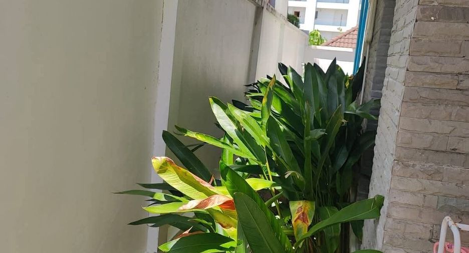 For rent 3 bedrooms villa in Mueang Phuket, Phuket