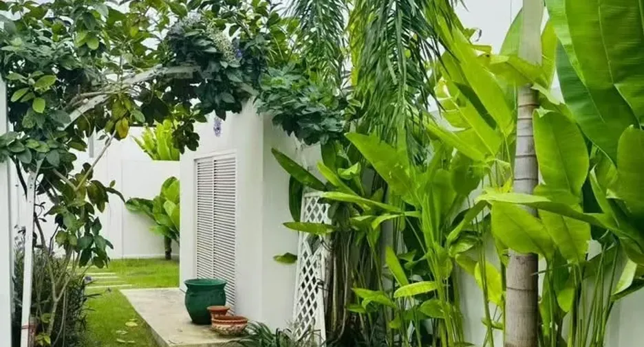For rent 4 bedrooms villa in Thalang, Phuket