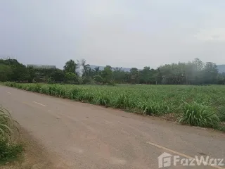 For sale land in Pak Chong, Nakhon Ratchasima