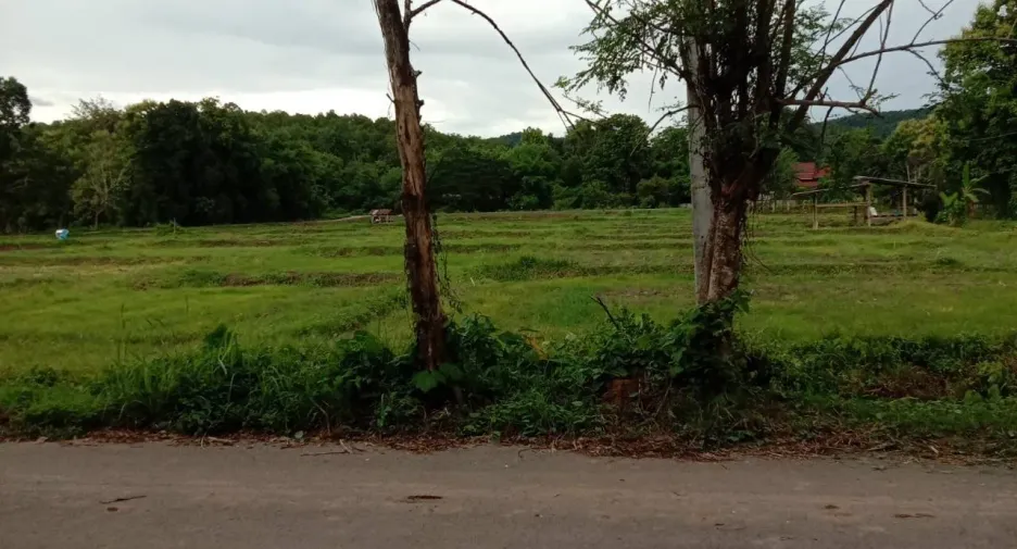 For rent 2 bedrooms villa in Muang Nan, Nan