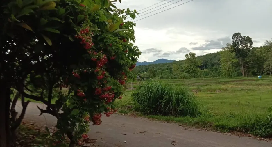 For rent 2 bedrooms villa in Muang Nan, Nan