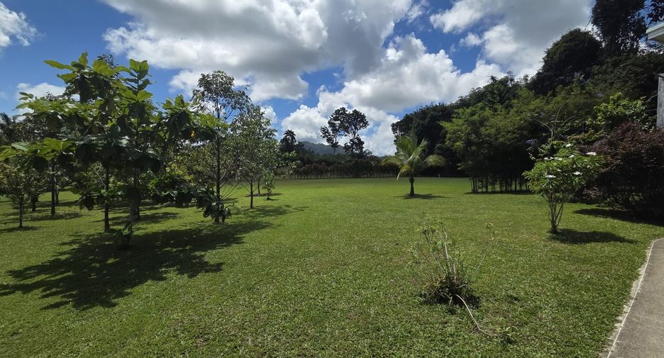 For sale 4 bedrooms house in Takua Thung, Phang Nga