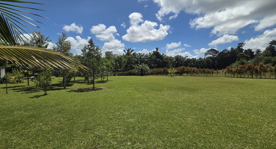 For sale 4 bedrooms house in Takua Thung, Phang Nga