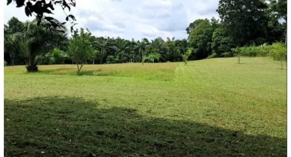 For sale 4 bedrooms house in Takua Thung, Phang Nga