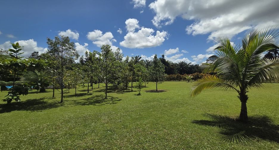 For sale 4 bedrooms house in Takua Thung, Phang Nga