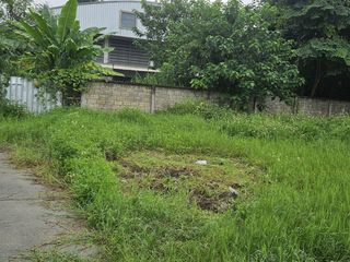 À vendre terrain à Mueang Chiang Mai, Chiang Mai