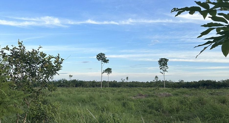 Grundstück zum Kauf in Yan Ta Khao, Trang