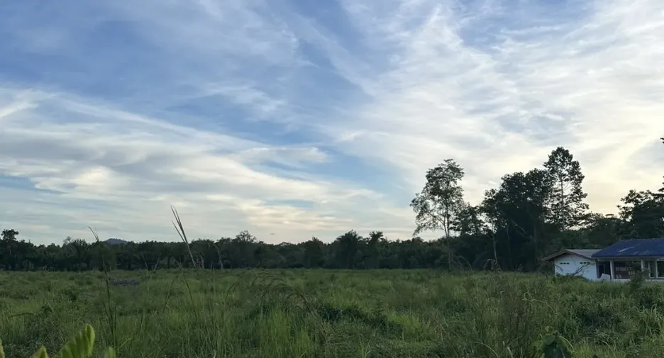 Grundstück zum Kauf in Yan Ta Khao, Trang